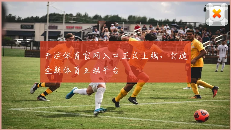 开运体育官网入口正式上线，打造全新体育互动平台